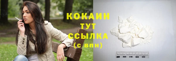 ПСИЛОЦИБИНОВЫЕ ГРИБЫ Горнозаводск