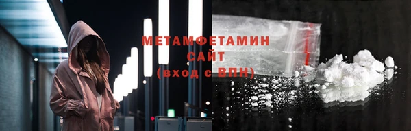 шишки Гусев