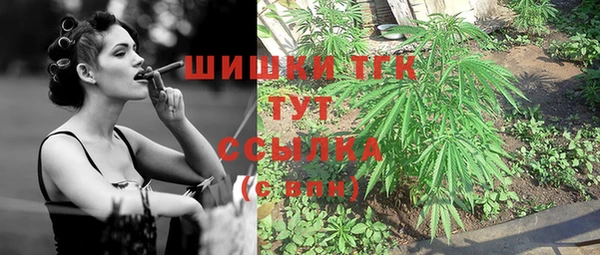 spice Осташков