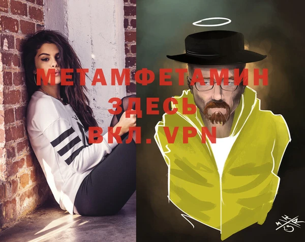 шишки Гусев