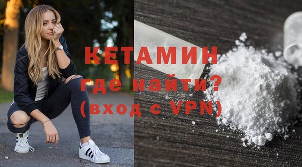 шишки Гусев