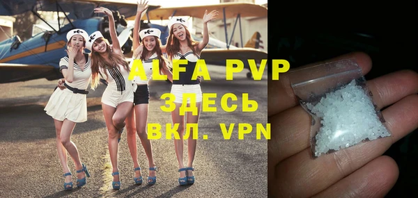 Альфа ПВП Горняк