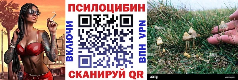 Галлюциногенные грибы мухоморы Еманжелинск
